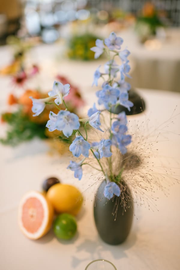 A romantic Summer Wedding at the Natural History Museum of Utah, photo 05