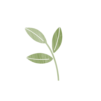 CO2
