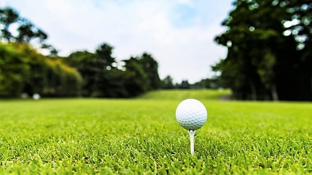 株式会社クインテットの ここ自慢 シリーズ ゴルフサークル編 株式会社クインテット Pando