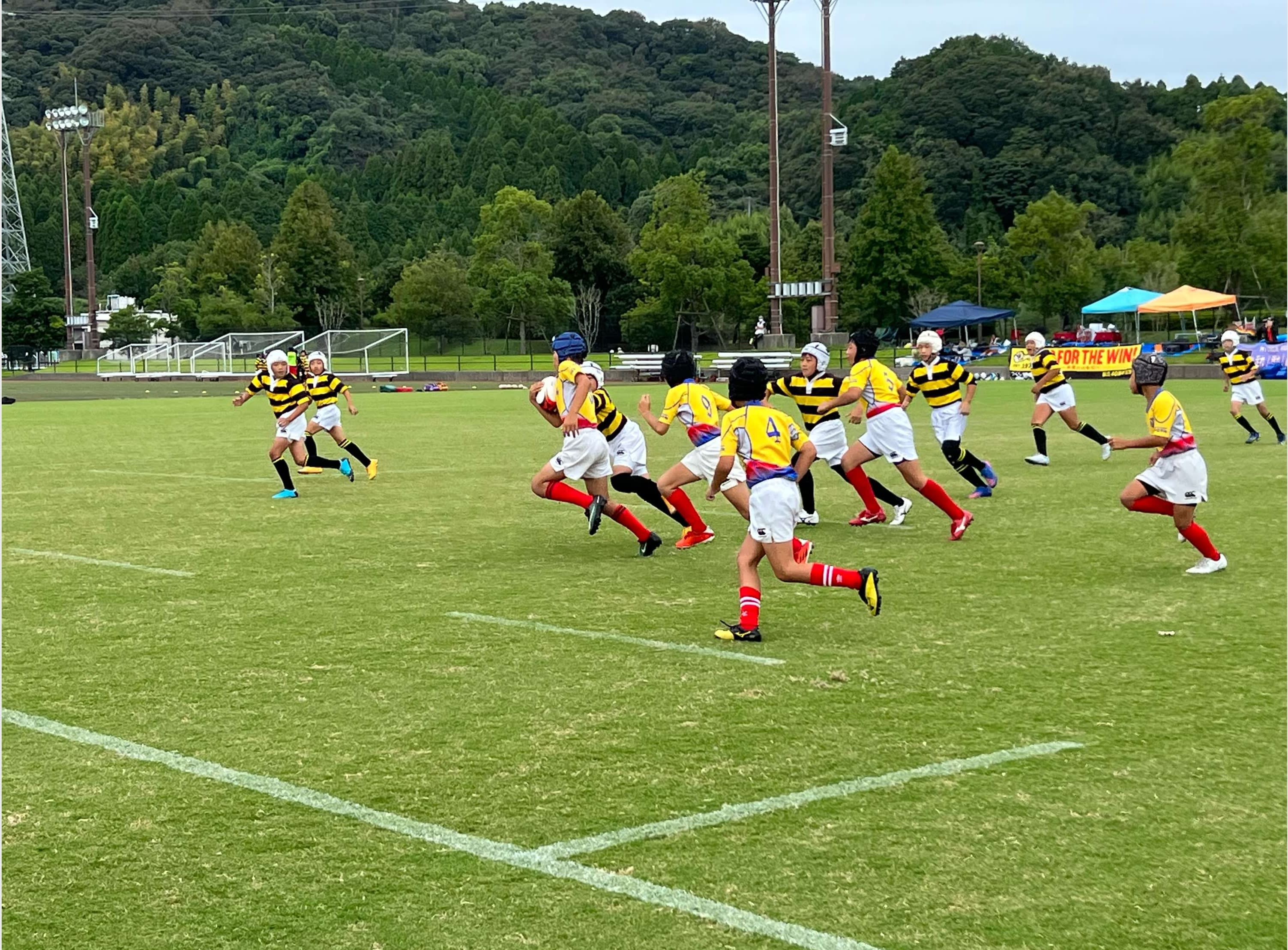 ラグビーママ特派員報告 Rkids ラグビーキッズ Pando