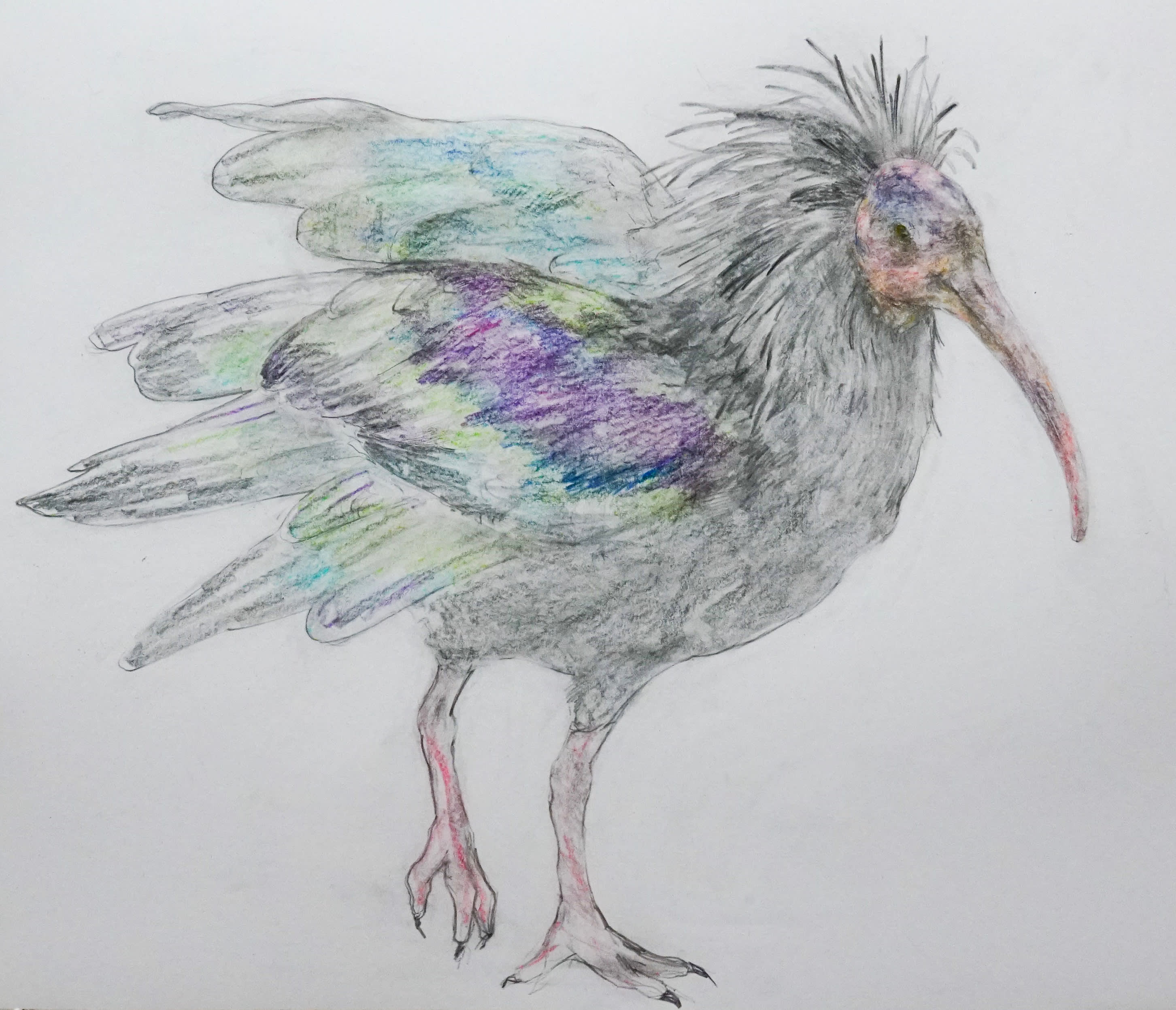 砂長 正宗《Pando》