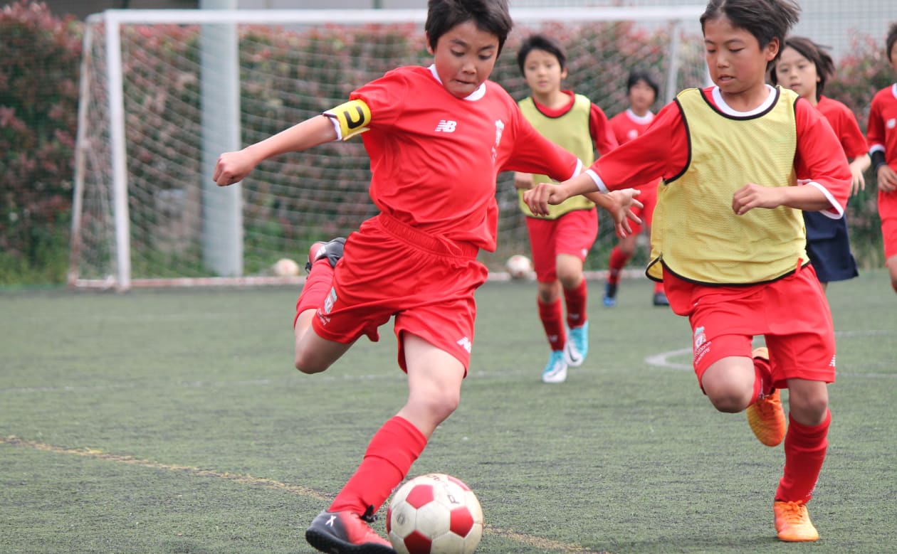 料金について About The Fee リバプールfcサッカースクール Liverpool Fc Soccer School Pando