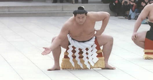 近状のご報告 貴乃花応援会 Pando