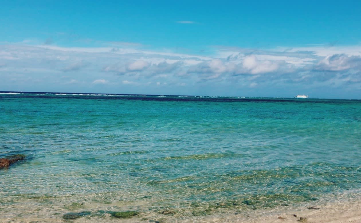 高野 玲太 東洋大学ダンスサークル Zap Pando