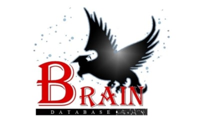 活動総括部門BRAIN