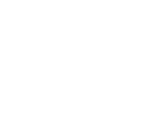 Aperçu Calligraphe
