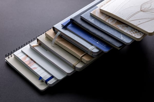 Aperçu Capture d'écran 2025-07-07 103603