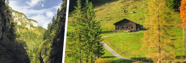 Fiona Bigou - &quot;ISO320&quot;