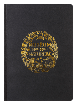 Aperçu Carnet 2