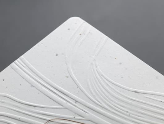 Capture d'écran 2025-08-11 105208 Aperçu Capture d'écran 2025-08-11 105208