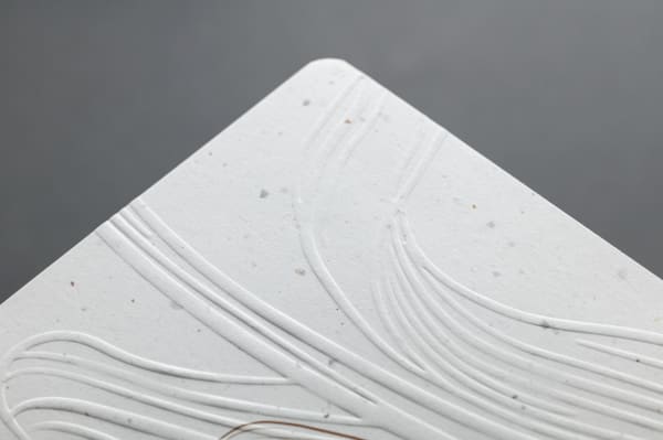 Aperçu Capture d'écran 2025-07-07 103105