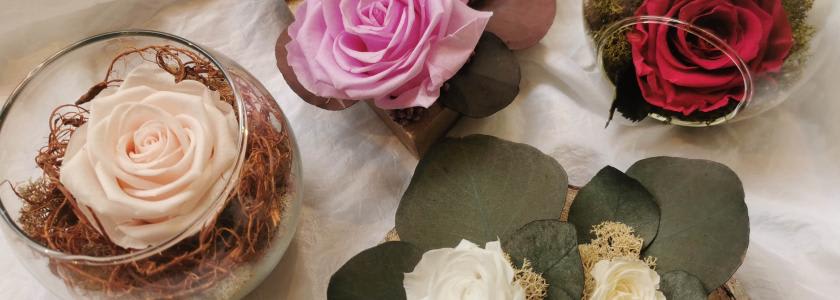 Aperçu Les Créations de Cokaï