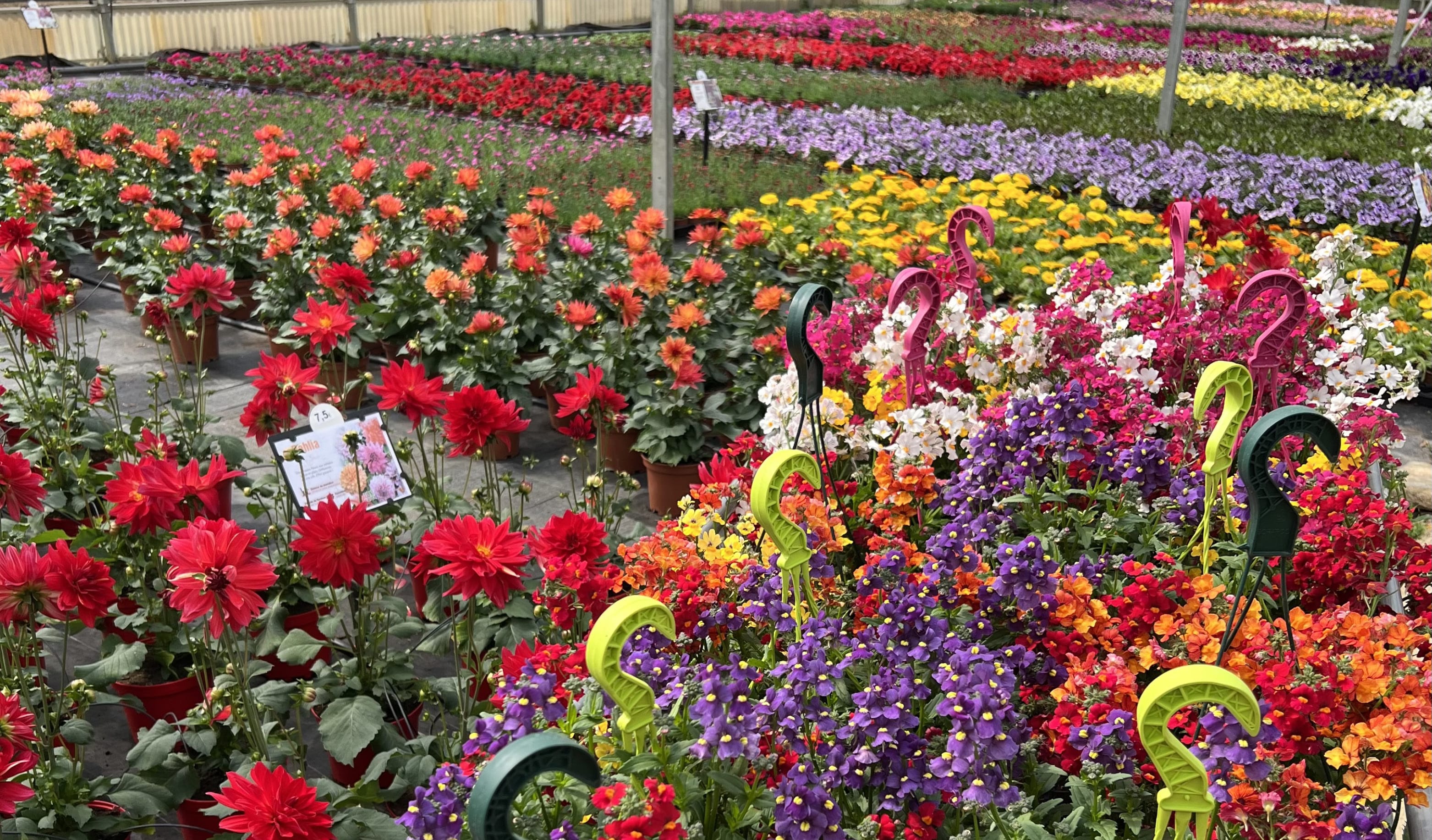 Aperçu Serre Cros horticulture