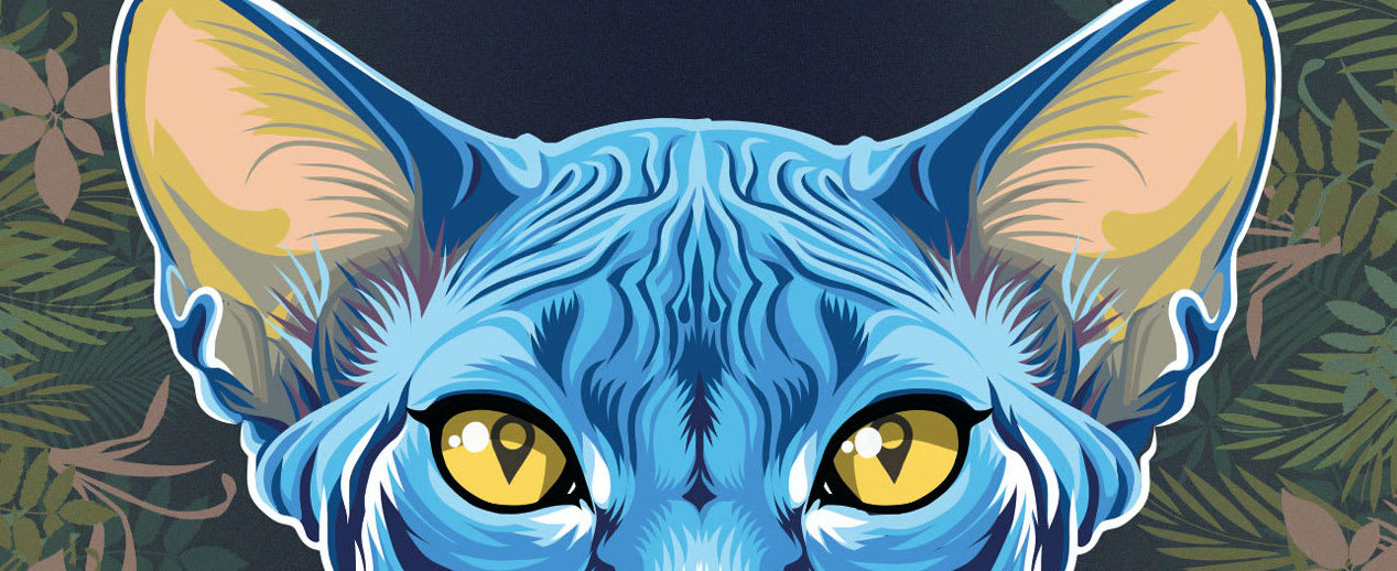 LA RANDO DU CHAT BLEU #7