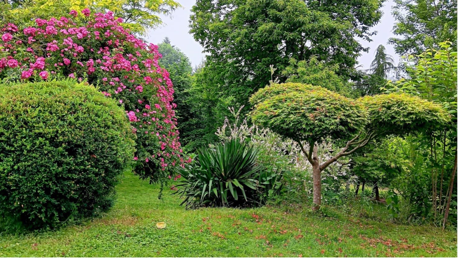 Aperçu Création Jardin