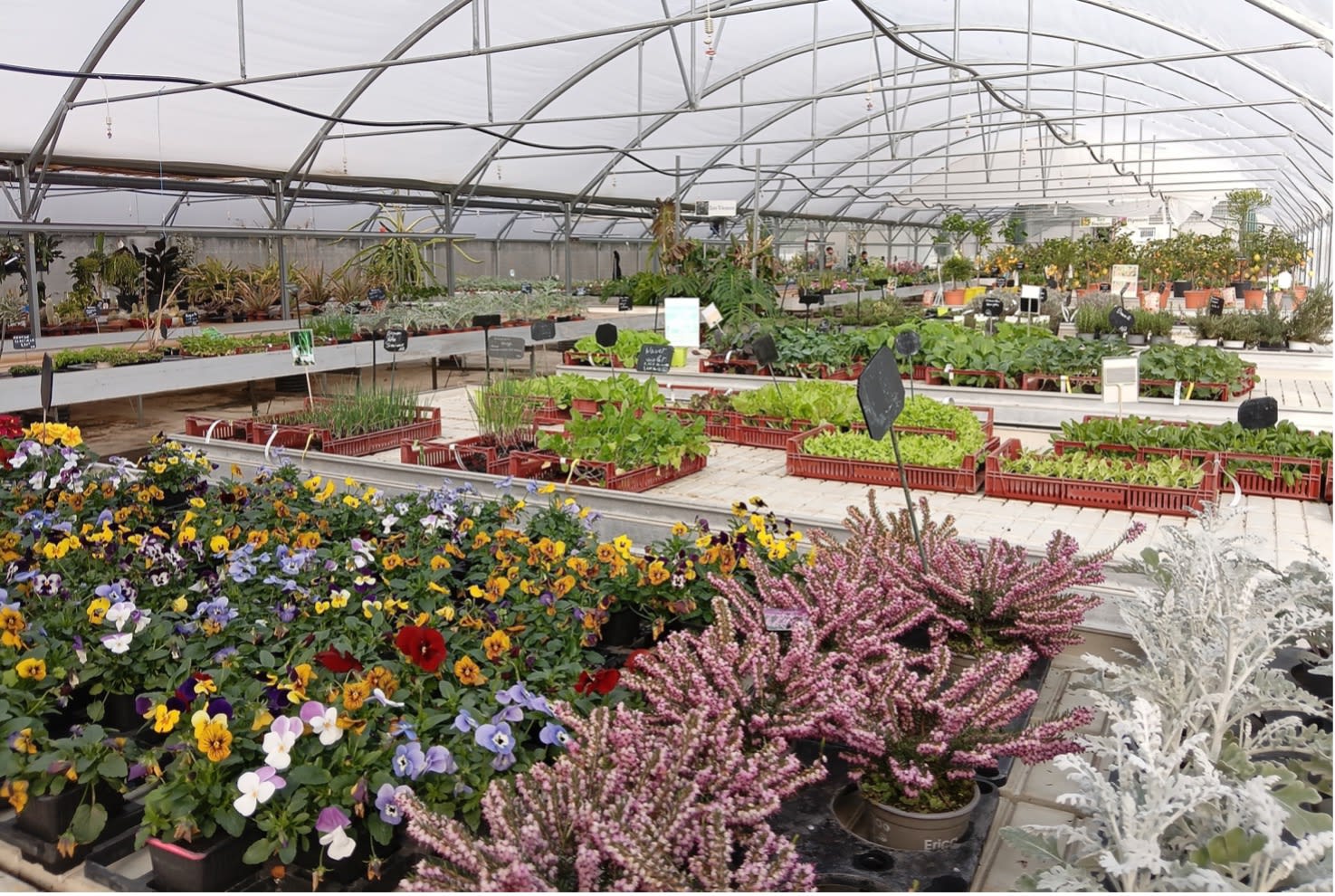 Aperçu En'Vert de Terre 