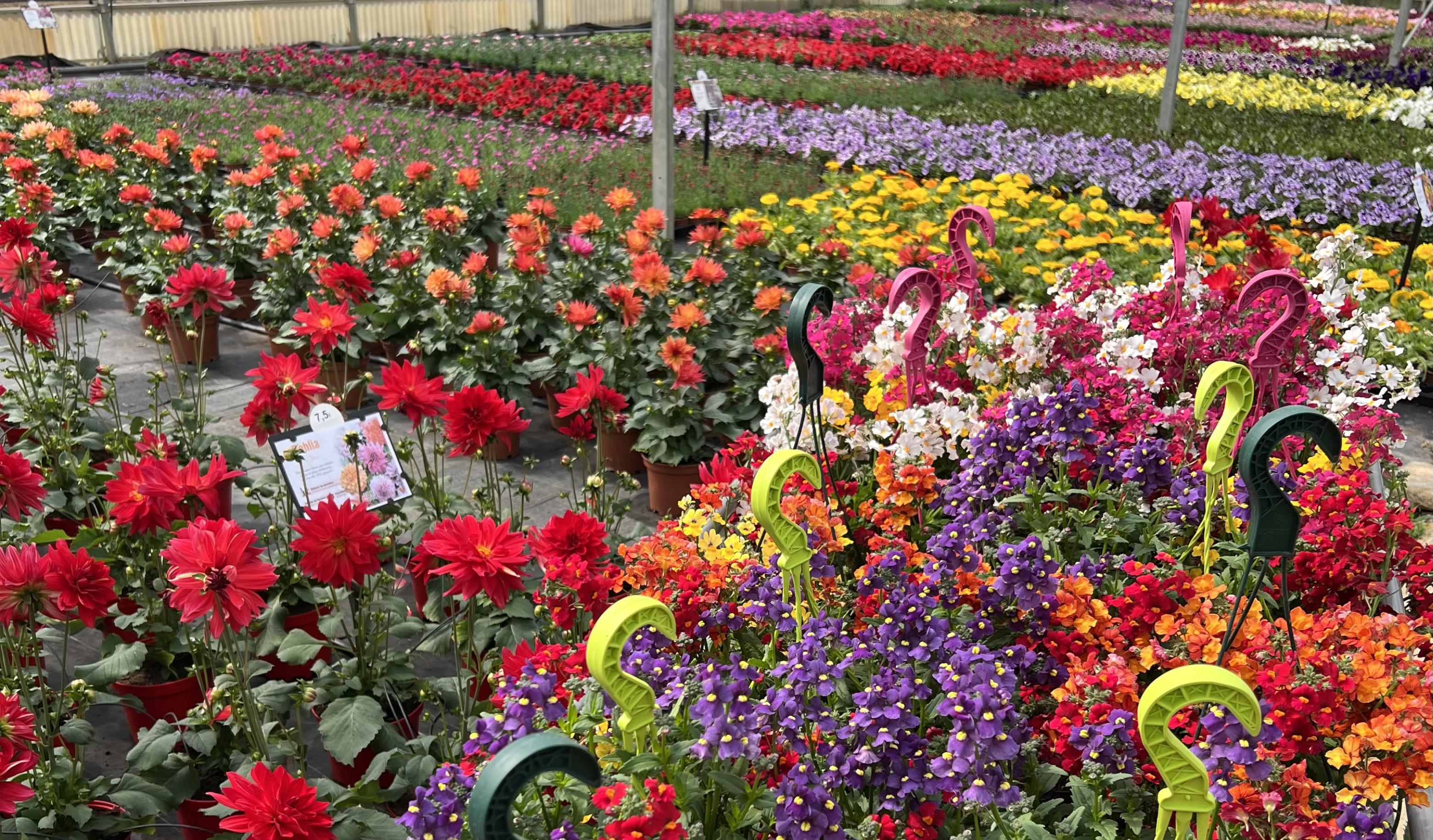 Aperçu Serre Cros horticulture