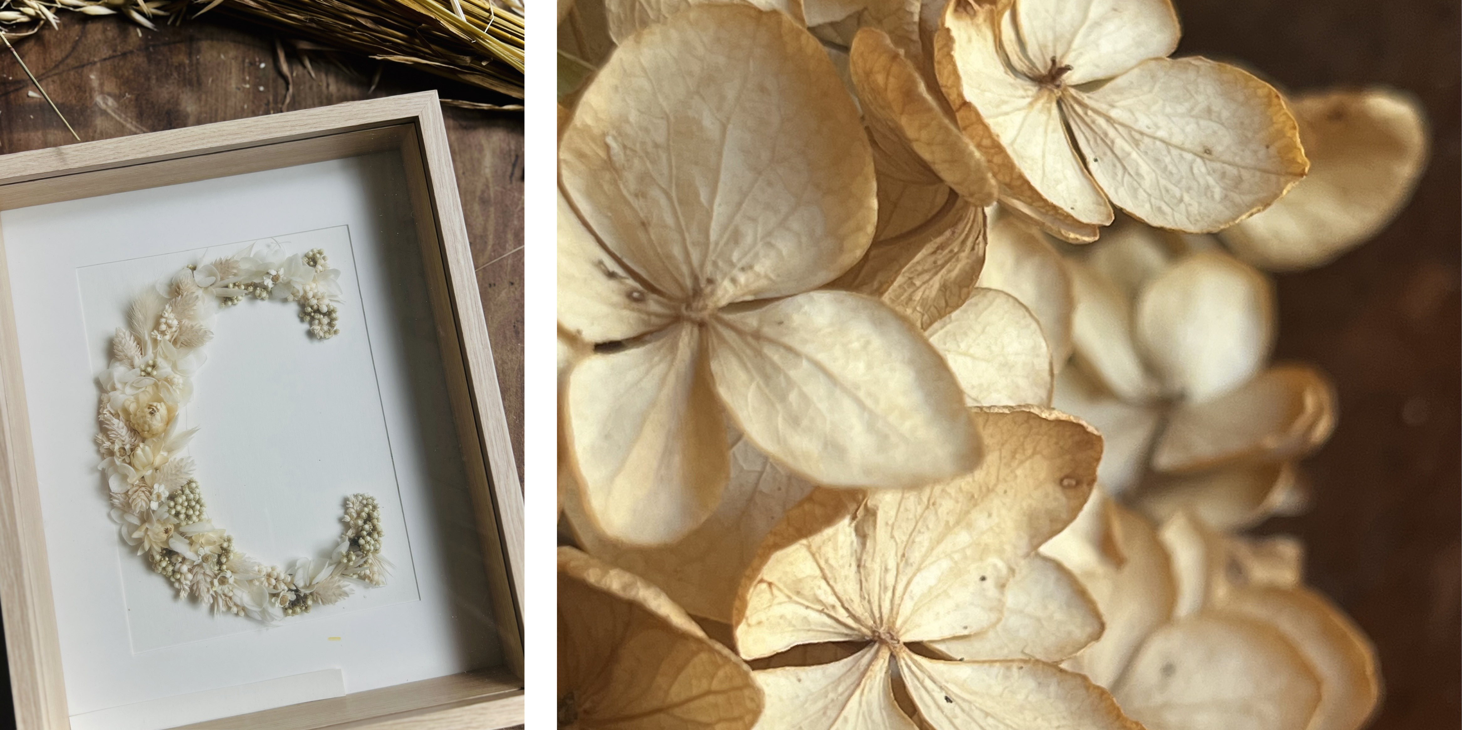 Brin de Melisse4 Brin de Melisse4