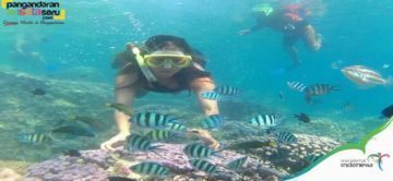 Sensasi Snorkeling di Pangandaran