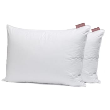 Bianca Pair of 2 Recycled Down Pillow - King