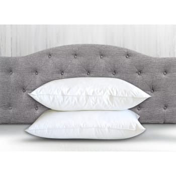 Cuddle Down The Ulitmate Soft 100% Canadian Hutterite Down Filled Pillows 25 Ounce Fill/Each (20"x36" Ea.)SET OF 2 - KING