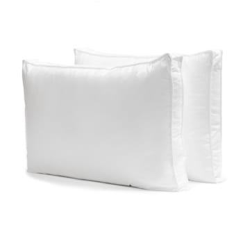 Bianca Pair of 2 microfiber pillows - Queen