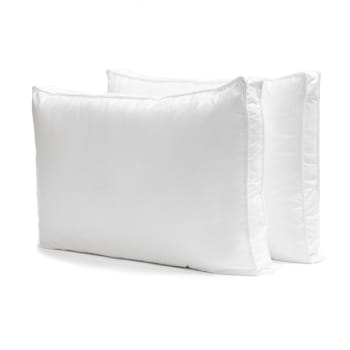 Bianca Pair of 2 microfiber pillows - King