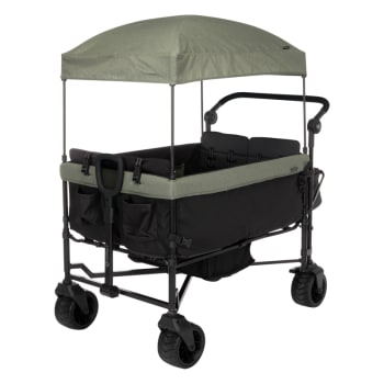 Safety 1st Summit Quad Wagon Stroller - Olive Haze