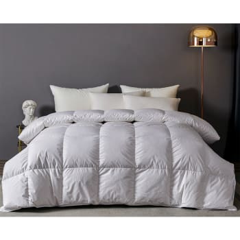 Twin Ducks Marsala Canadian Origin White Down King Duvet