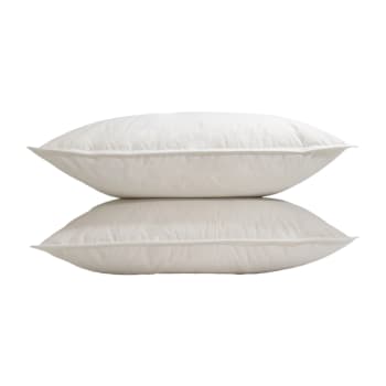 Twin Ducks Marsala Canadian Origin White Down 2xKing Pillows