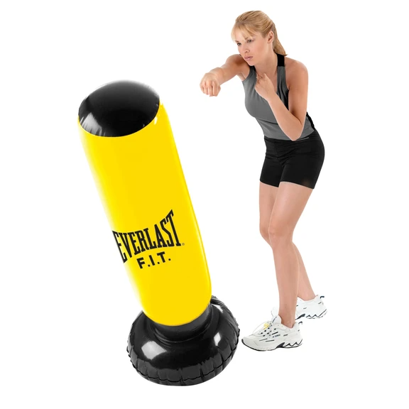 Everlast Ab Toning Wheel 2lb Weighted Jump Rope and Power Tower Bundle |  AIR MILES