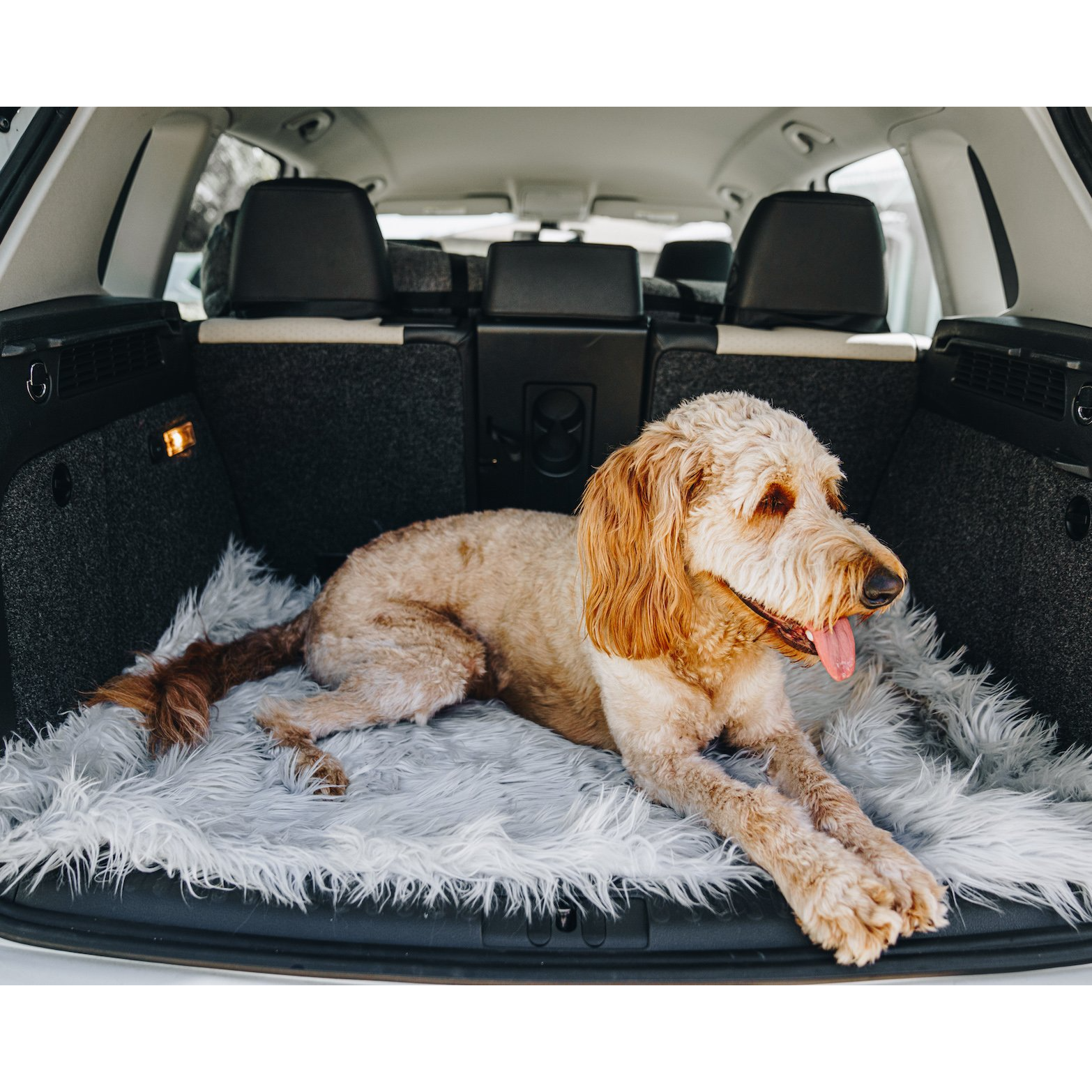 Hide Mat LG Grey in 2023  Dog beds for small dogs, Orthopedic dog