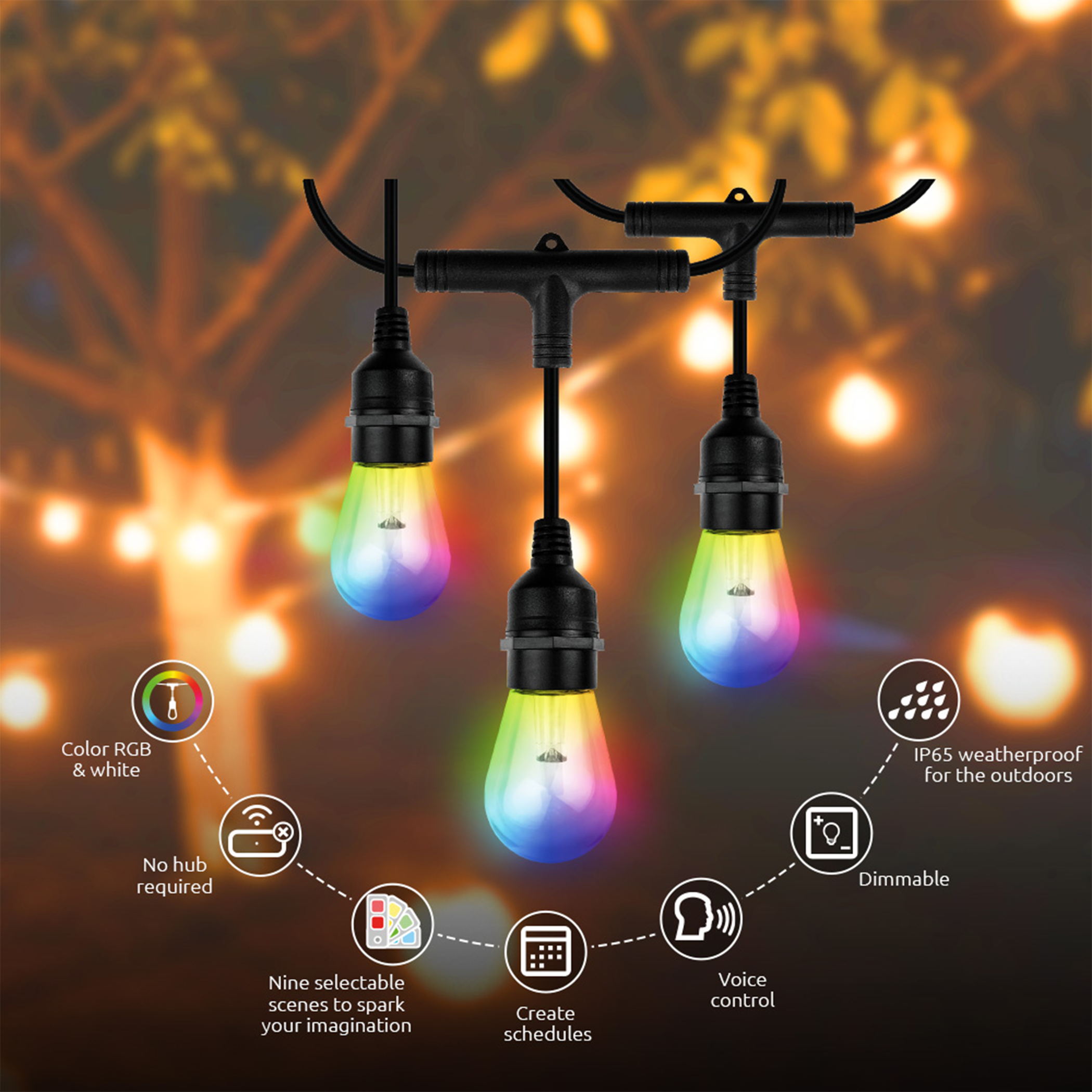 Lynx Dream 48 ft. Outdoor Plug-In LED Input Smart Edison Bulb Wi-Fi Enabled  String Light (15-Bulbs)