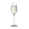 Vivo Champagne Glass - Set of 4