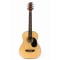 BeaverCreek BCTD601 3/4 Size Acoustic Guitar - Natural