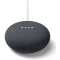 Google Nest Mini 2nd Generation - Charcoal #1