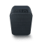 Bluesound PULSE FLEX 2i Portable Wireless Multi-Room Music Streaming Speaker - Set of 2 - Black #2