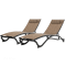 Vivere Glendale 5-Position Aluminum Pool Lounger with Wheel and Pillow - Granite - Set of 2 #1