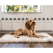 Paw Canada PupRug™ Portable Orthopedic Dog Bed - White - Large/Extra Large #2