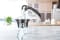 Cuisinart EasyClean Slow Juicer #2