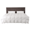 Cuddle Down BANFF SPRINGS 100% CANADIAN Hutterite Goose Down Duvet 800+ Loft 500TC Shell 25 Ounce Fill - QUEEN