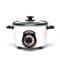 Pars 5 Cup Brown Rice Cooker #1