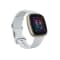 Fitbit Sense 2 Pale Gold with Blue Mist Band #2