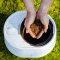 Lomi Countertop Composting System By Pela. Only 1 Colour And 1 Size #4