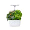 Potager intérieur SMART Exky de Véritable - Blanc arctique #2