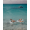 Funboy Super Clear Chaise Lounger #5