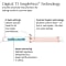 T3 SinglePass Curl X 1.25" Ceramic Extra-Long Barrel Curling Iron #7