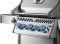 Napoleon Rogue® PRO-S 425 SS NG Grill w/Infrared Side&Rear Burners #2