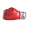 AJ Sports Mike Tyson Autographed Red Everlast Boxing Glove