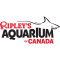 Ripley's Aquarium of Canada - General Admission – Youth/Senior (Age 6-13 years, 65+) #2